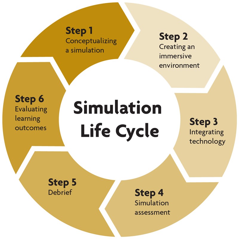 Vision Mission SimHubs Simulation Based Education